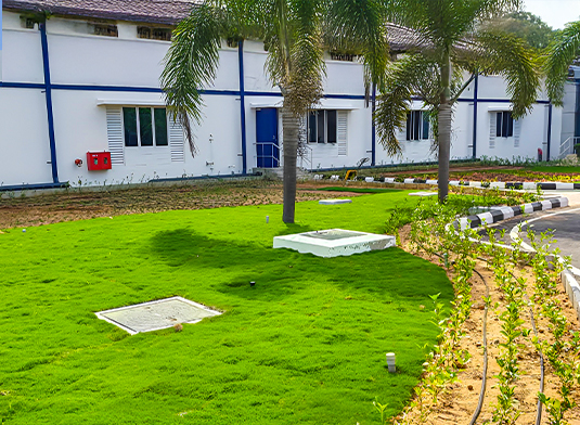 Beautiful landscape with green grass and trees