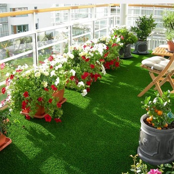 Small, vibrant balcony garden setup