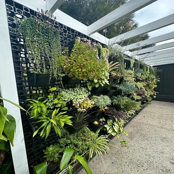Interior vertical garden wall installation
