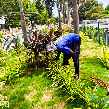Completed commercial landscape project 4