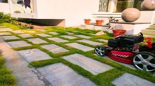 Example of Lawn and Turf Management