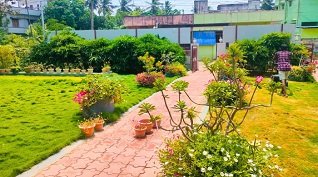 Example of Vertical Garden